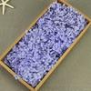 Flor Mágica Flor Eterna AB Anna Hortênsia 100g Aniversário Real Flor Diy Material Flor Seca Decoração Namorada Presente