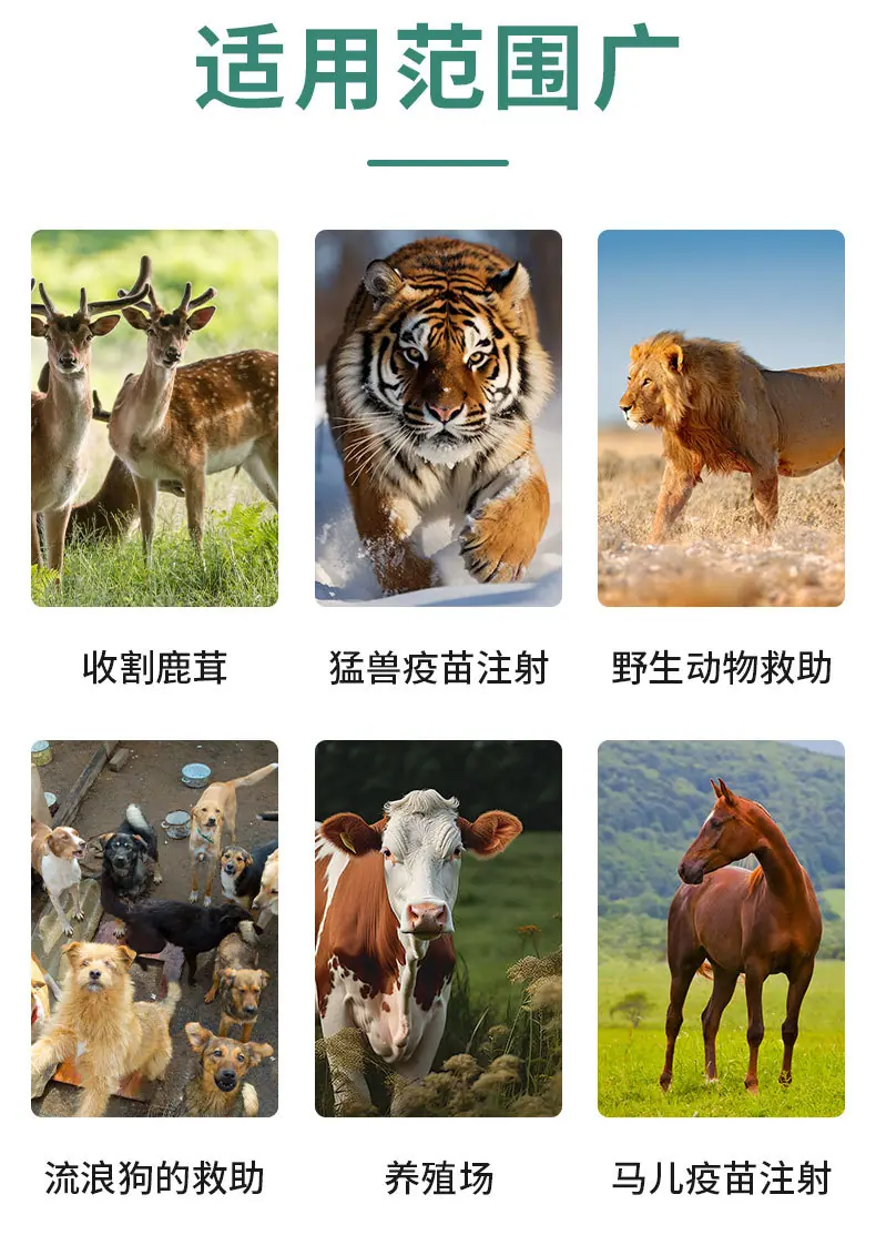 详情1_03.jpg
