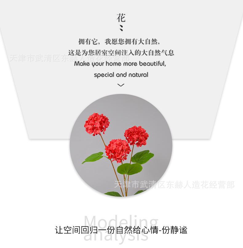 详情_06.png