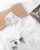 Nuevo Estilo Sexy de Encaje con Lazo y Malla Transparente, Bragas de Cintura Baja con Entrepierna de Doble Capa Fabricante 1039