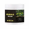 Pudrición de Raíz Kuaike Especial para Riego de Raíz para Prevenir Pudrición de Raíz, Pudrición de Raíz, Muerte de Plántulas, Pudrición de Tallo, Plántulas de Melón y Hortalizas de Fruta, Enraizamiento, Fertilizante Antibacteriano