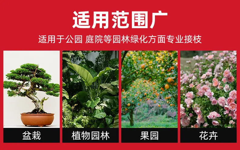 嫁接刀_02.jpg