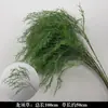 Folhagem de Casamento, Capim Aspargo Real, Galhos Longos, Botões de Salgueiro, Flores Artificiais, Decoração de Casamento Estilo Floresta Verde, Arranjo Floral de Fundo, Guia de Corredor