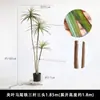 Planta Verde Artificial, Árvore do Milênio, Planta Cauda de Ferro, Sensação de Alto Padrão, Sala de Estar, Decoração de Cafeteria, Árvore Falsa, Planta Falsa, Planta em Vaso, Árvore Sangue de Dragão