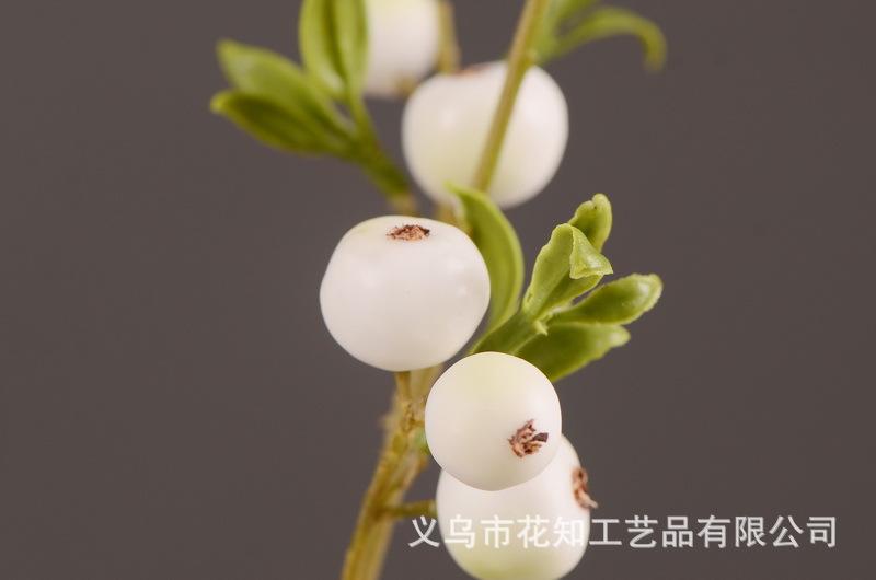 2-7白色安迪小白果.jpg