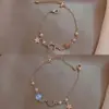 Pulseira de Zircônia Pérola Xingyue Design Nicho Feminino Moda Coreana Popular na Internet Moda Simples Namorada