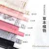 Nueva Planta Herbal Impermeable Inglés Coreano Papel Liso Material de Empaque de Flores Frescas Floristería Arte Floral Venta Directa al Por Mayor