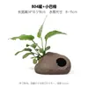 Aquário Musgo Terrário Planta Aquática Paisagismo Planta Real Tanque de Esconderijo para Peixes e Camarões Casa de Camarão Pequeno Ornamento Casa de Esconderijo para Criação de Peixes Pequenos