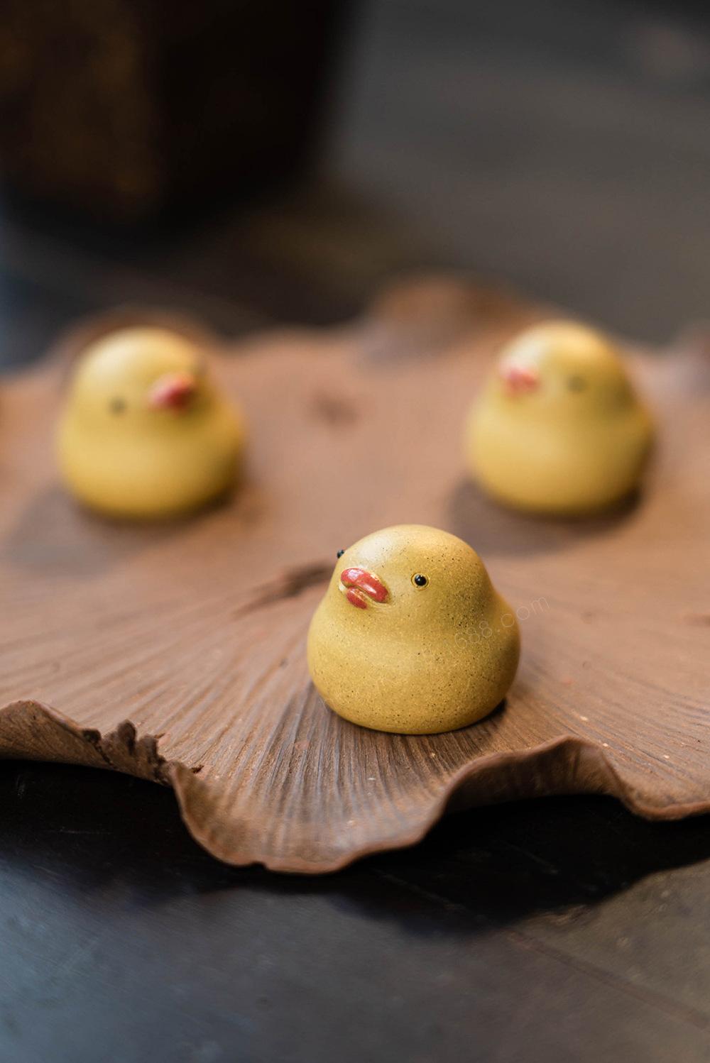 小鸭子 20220626 (29).jpg