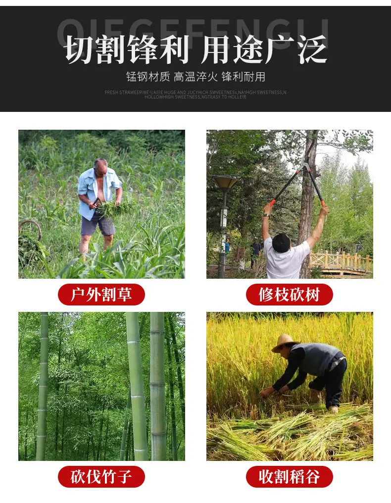 详情_03.jpg