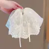 Pinza para Cola de Caballo con Patrón de Bordado de Industria Pesada de Alta Gama Importada de Japón Lazo de Cinta de Seda Malla Fina Cristales Pequeños Fija el Cabello