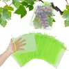 Bolsa Protectora de Frutas Amazon Bolsa de Red a Prueba de Insectos y Aves para Frutas Uvas Fresas En Stock