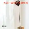 Retro Madera Flotante Natural Madera Maciza Zen Flores Secas Flores Reales Cápsulas de Loto Flores Secas Loto Flores Secas Decoración Adornos Chinos Sala de Estar