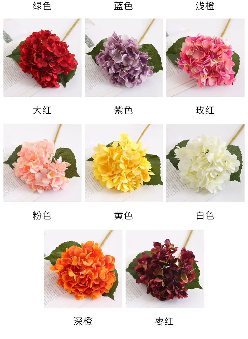 两叶绣-球_06.jpg