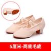 Zapatos de profesora con dos suelas de goma en el tacón medio, zapatos de práctica de baile al aire libre, zapatos de práctica cuadrados para mujer adulta, zapatos de baile marinero cuadrados