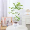 Plantas de interior de escritorio Liuchuanfeng para salas de té, plantas verdes de inspiración zen, bonsáis de nuevo estilo chino, plantas en maceta decorativas para vestíbulos y oficinas