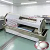 Máquina Pequena de Descascar Ovos, Máquina de Descascar Ovos de Codorna, Máquina Automática de Remover Casca de Ovos para Cantinas, Fábricas de Processamento e Catering