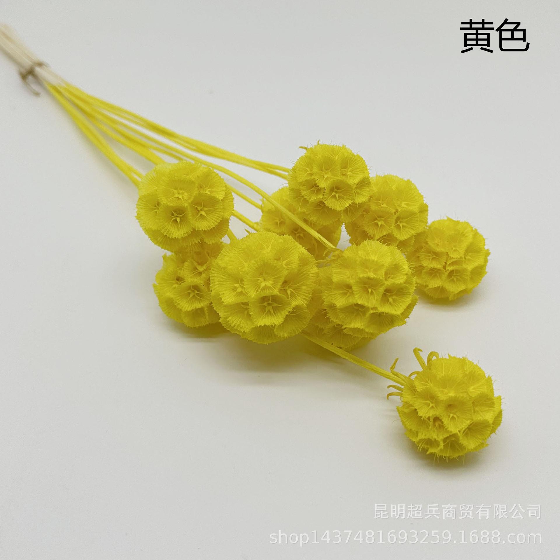20黄色.jpg