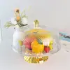 Accesorios para Manualidades de Plástico Mango de Diamante Manija para Tarro DIY Manija para Caja de Frutas Manija para Utensilio de Cocina de Almacenamiento