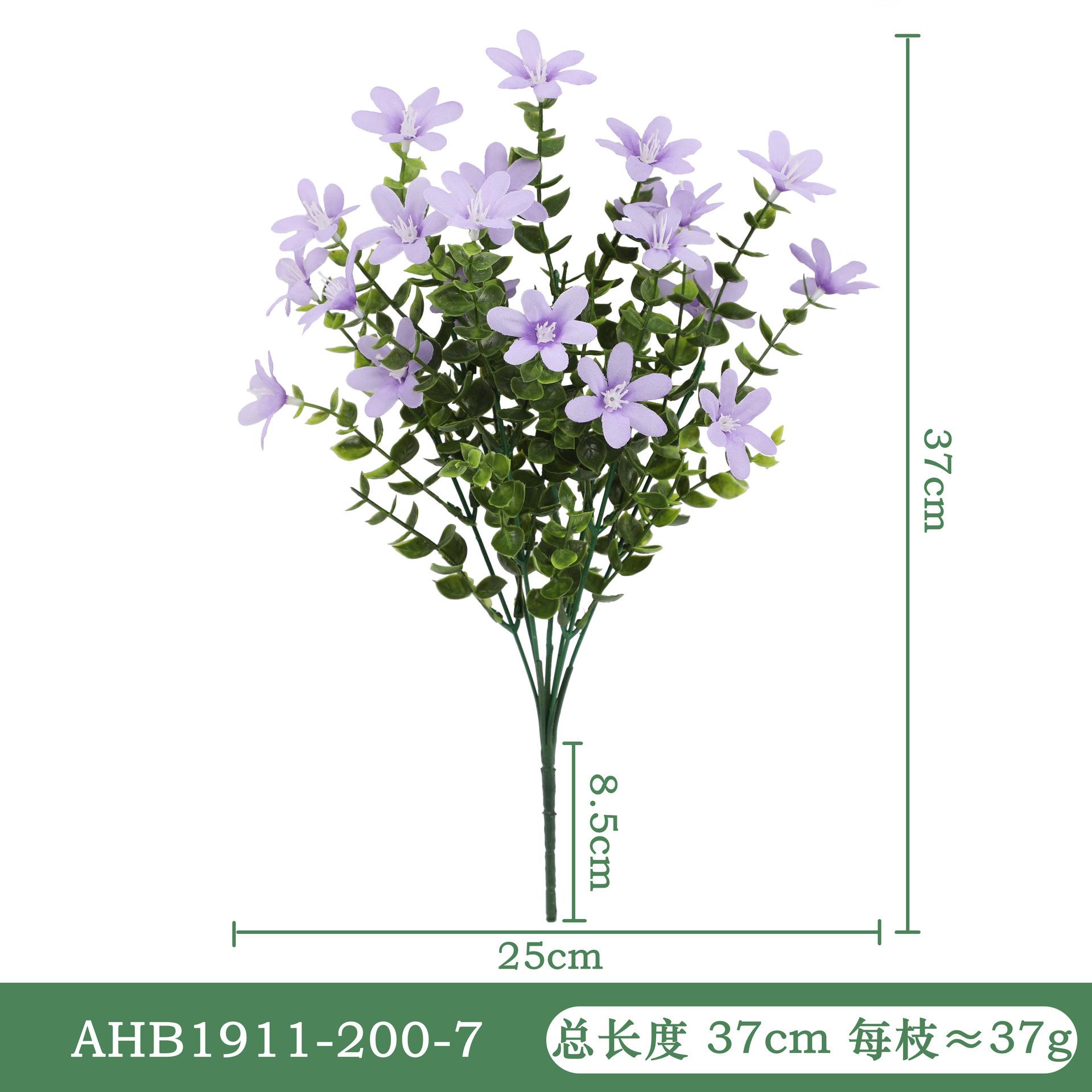 尤加利兰花-紫色AHB1911.jpg