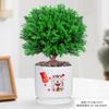 Evergreen Interior Balcón Patio Escarcha Plantas En Maceta Son Fáciles de Mantener y Viven en Escritorio Bonsái Verde Plantas Verdes Pinos