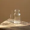 Jarrón de Vidrio Marrón Vintage Estilo Ins Nórdico Transparente Marrón Arreglo Floral Hidropónico Recipiente para Flores Frescas Decoración