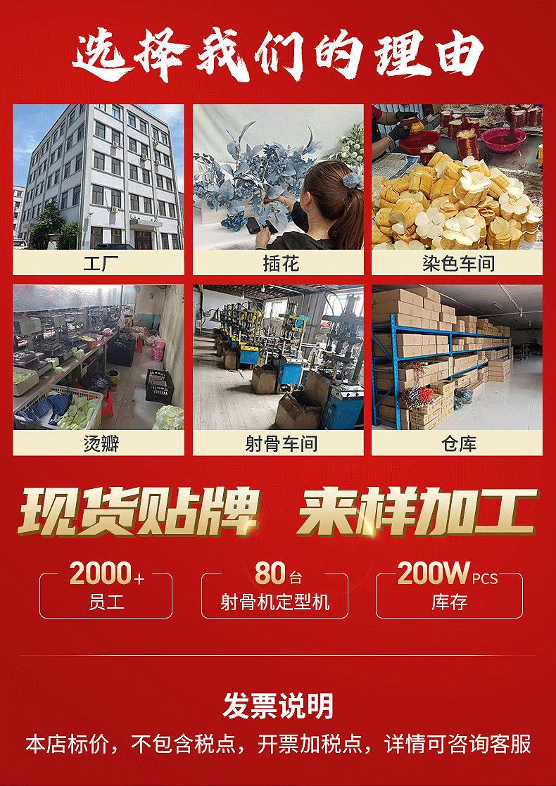 龙宇宇龙详情_01