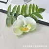 Flor de Orquídea Phalaenopsis Cabeça de Flor Simulação de Filme Impressa em 3D Flor Artificial Lembrancinhas de Festa de Casamento Decoração de Caixa de Doces Acessório de Cabeça DIY Presilha de Cabelo