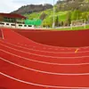 Pista de Plástico Compuesto Pista Exterior Escolar Gránulos de Plástico EPDM Pista de Plástico para Cancha de Fútbol Baloncesto