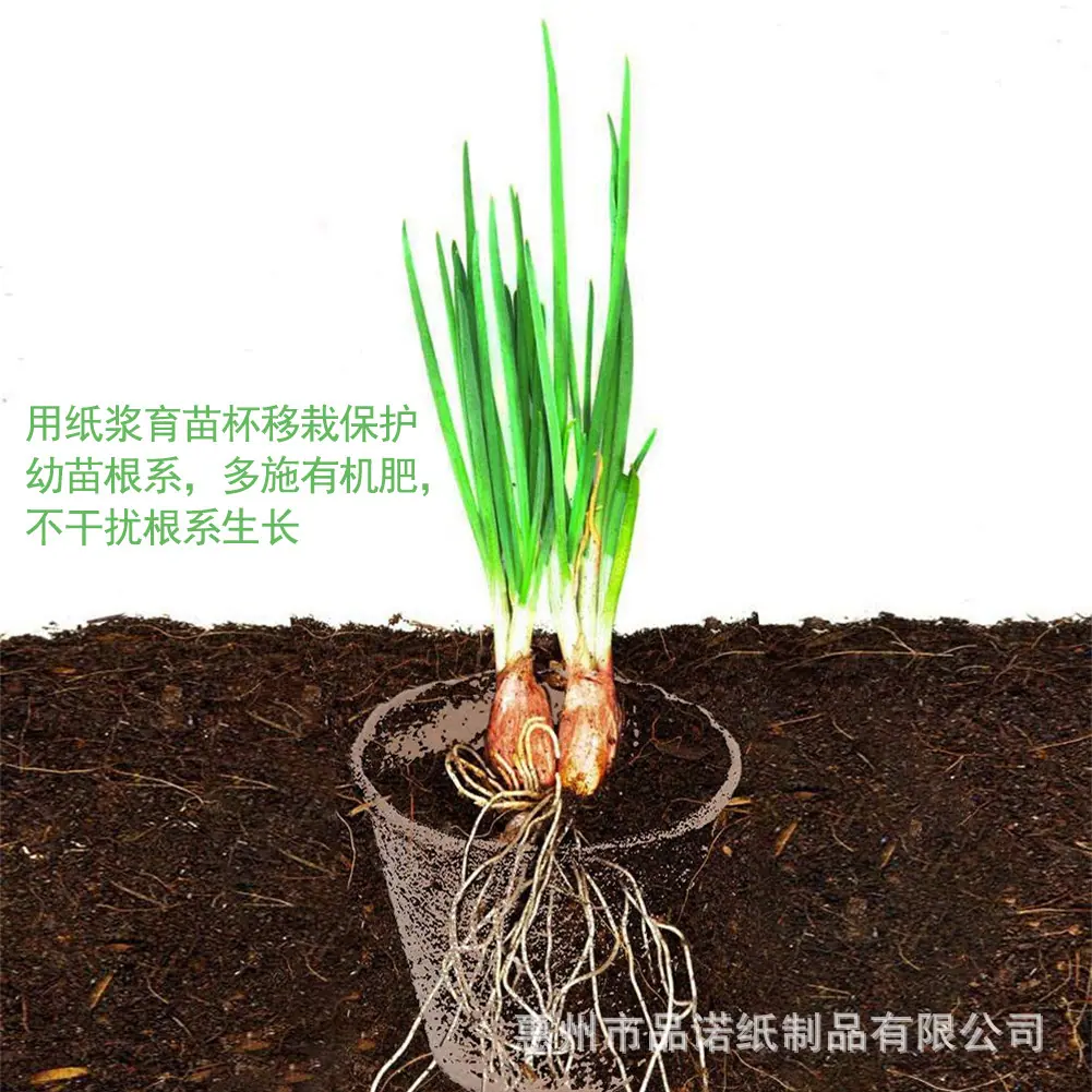 详情1
