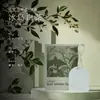 Incensário Pendurado para Carro Guarda-Roupa Especial Difusor de Gesso Aromaterapia Pedra para Casa Quarto Fragrância Duradoura Pastilhas de Incenso Osmanthus Premium