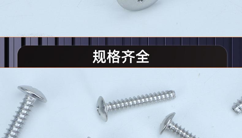 镀镍TT十字大扁头平尾自攻螺丝_03_20.jpg