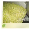 Equipo Móvil para Escurrir Brotes de Frijol Línea Grande para Escurrir Brotes de Frijol Fábrica de Maquinaria para Productos de Frijol Suministro Directo de Fábrica