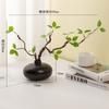 Planta artificial verde fresca planta artificial sala de estar arranjo de flores interno decoração decoração de mesa de hotel decoração suave flor