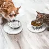 Fornecimento Exclusivo Transfronteiriço de Bandejas Redondas para Alimentação de Animais de Estimação, Tapetes Anti-Derramamento para Alimentação de Animais de Estimação, Tapetes de Silicone de Grau Alimentício para Lamber