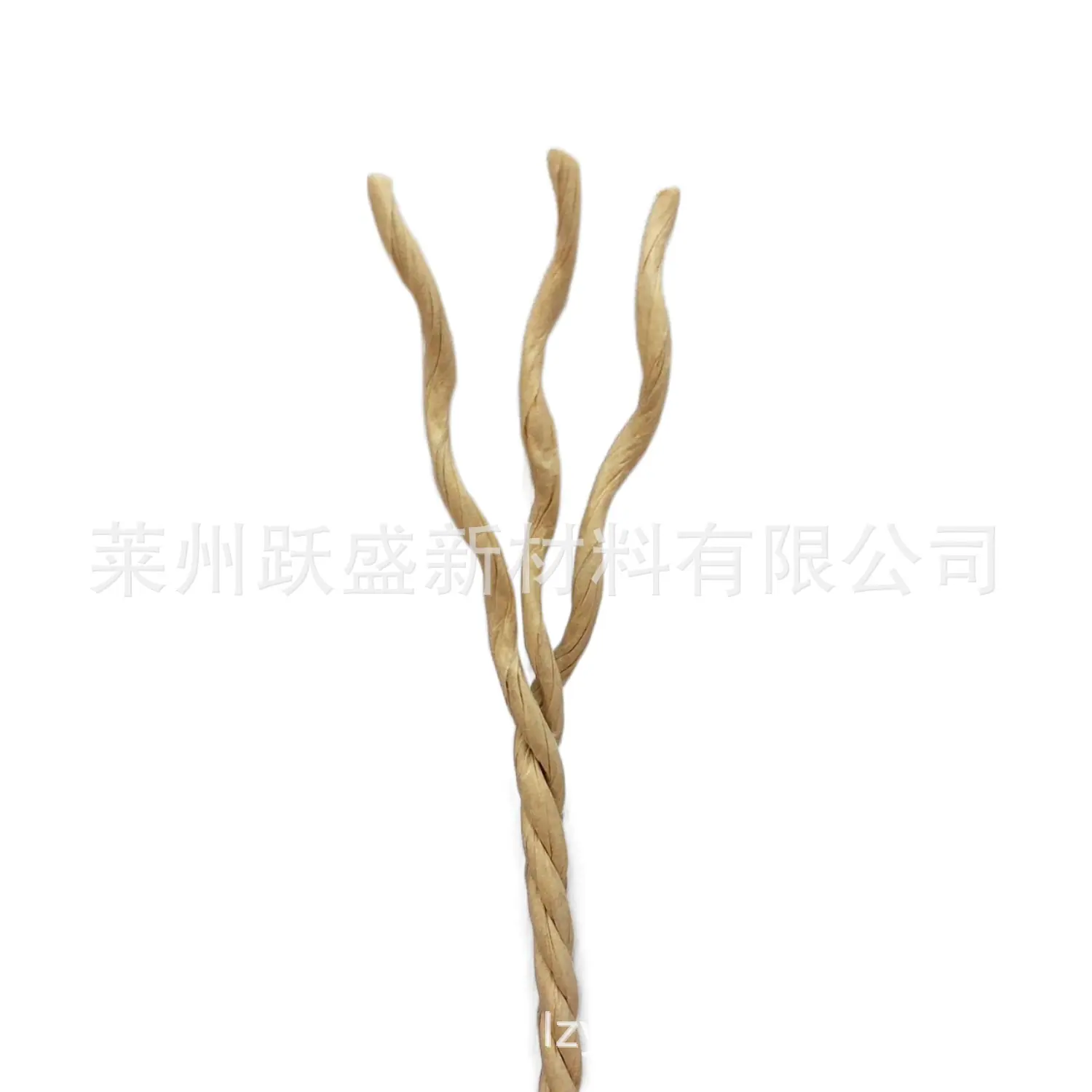 IMG_3029_副本.png