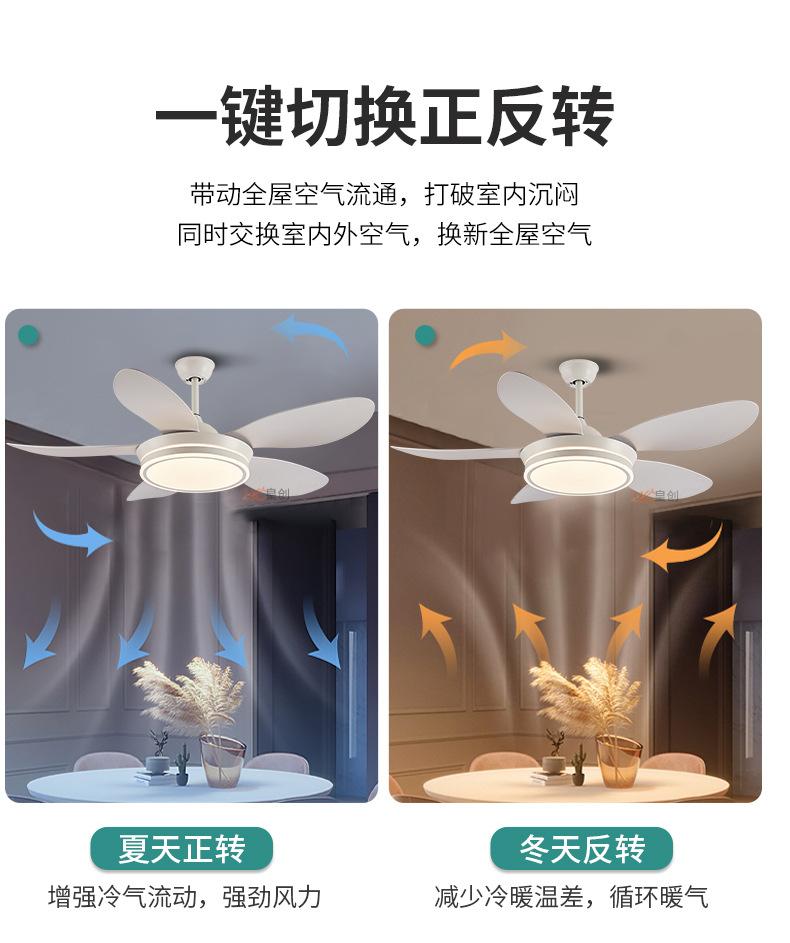 CT52详情_06.jpg