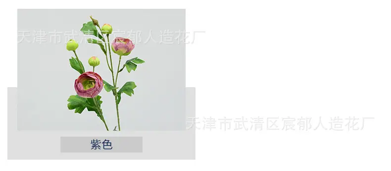 详情_03.jpg