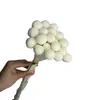 Flor Preservada Bola Dorada Decoración de Regalo Ramo de Flores Preservadas Jarrón DIY Martillo Dorado Flor Regalo del Día de la Madre Transfronterizo