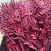 Yongsheng Flor Grama Xiaopan Atacado Fonte Fábrica Cabelo Reto Característica de Yunnan Flor Seca Flor Tingida Material de Flor Arranjo de Flores