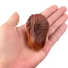 Talla en Madera Maciza de Ciprés Natural, Adornos de Riqueza y Prosperidad, Repollo Creativo, Transferencia de Fortuna, Adornos Decorativos, Adornos de Mano