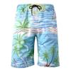 Verano 2026 Comercio Exterior Transfronterizo Pantalones Cortos de Playa para Hombre Estampados Pantalones Cortos Deportivos de Playa Tallas Grandes Europeas y Americanas Artículos de Venta Caliente