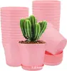 E-commerce Transfronteiriço Mais Vendido Vaso de Flores Internacional Cor Macaron para Decoração de Mesa, Vaso de Flores de Plástico Versátil com Pratinho e Furo de Drenagem
