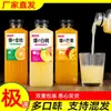 Bebidas de Jugo con Sabor a Fruta Recién Exprimida a Temperatura Ambiente al por Mayor en Cajas Completas, con Jugo de Mango NFC Añadido, Jugo de Naranja Auténtico, Saludable y Cero Grasa