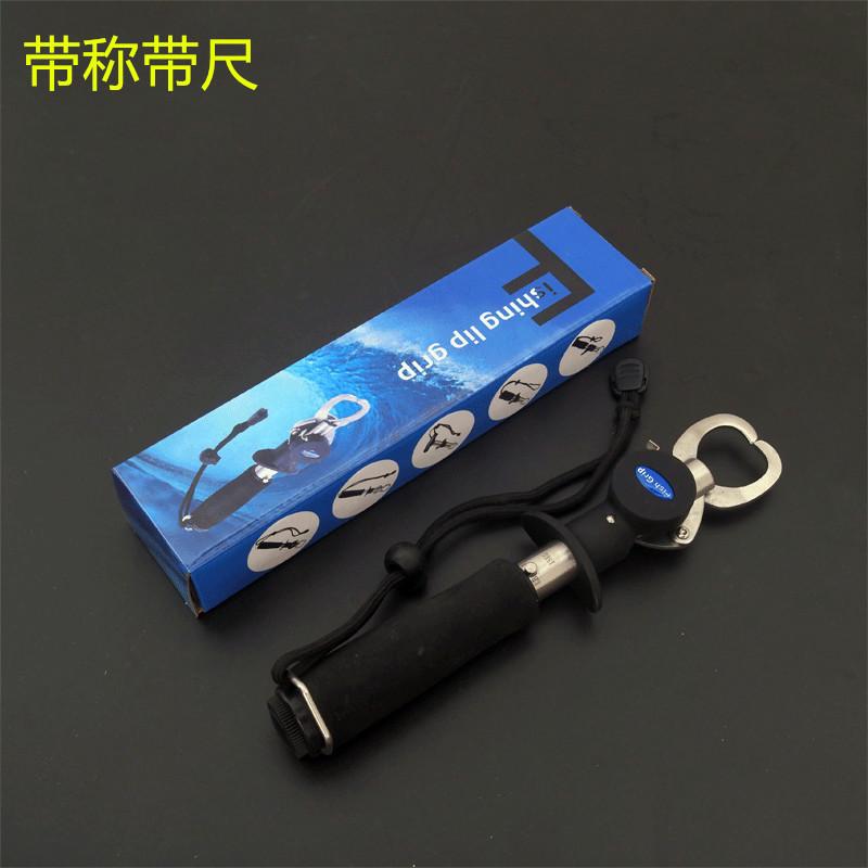 带称带尺2_副本