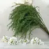 2026 Nuevo Modelo Plantas Verdes Artificiales Hierba de Espárrago Asparagus Asparaginea Decoración de Boda Flores Falsas Verdes Paisajismo Fotografía Plantas Verdes Estilo Bosque