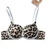 Ropa interior de mujer con estampado de leopardo retro transfronteriza dropshipping reunión para pechos pequeños anti-flacidez nuevo sujetador sexy ajustado mango
