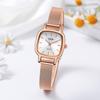 Reloj de pulsera Goldie Ins Style, ligero, de lujo, a la moda, sencillo, avanzado, cuadrado, con esfera pequeña, elegante, con correa de malla, resistente al agua, de cuarzo para mujer.