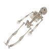 Juguete de terror de Amazon, esqueleto de Halloween, cuerpo completo, esqueleto móvil, barra, cámara, accesorios de estilismo