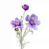 Rama individual flor grande reina cosmos gesang flor artificial flor artificial flor de seda exhibición sala de estar decoración floral de boda